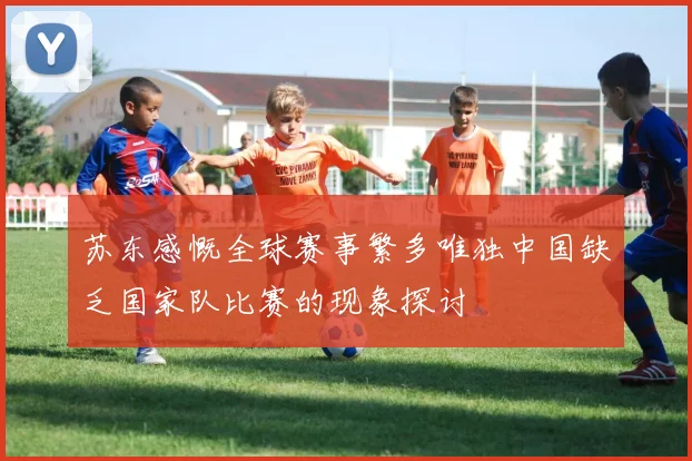 苏东感慨全球赛事繁多唯独中国缺乏国家队比赛的现象探讨