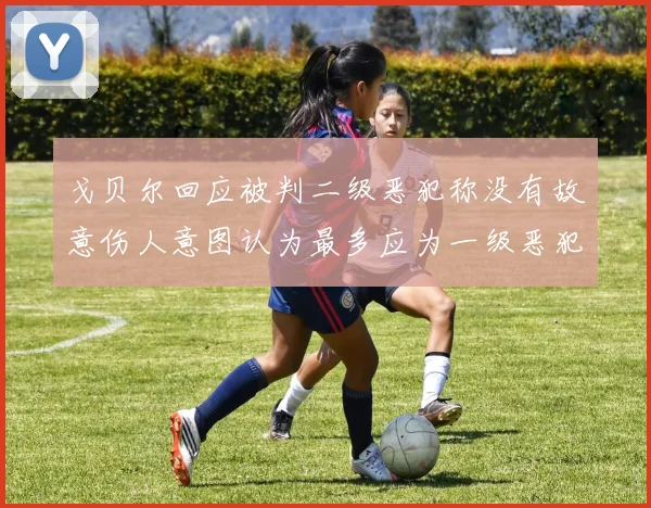 戈贝尔回应被判二级恶犯称没有故意伤人意图认为最多应为一级恶犯