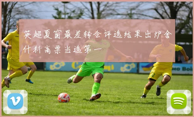 英超夏窗最差转会评选结果出炉舍什科高票当选第一