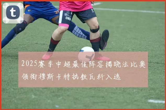 2025赛季中超最佳阵容揭晓法比奥领衔穆斯卡特执教瓦科入选