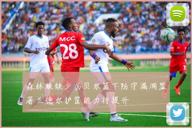 森林狼缺少戈贝尔篮下防守漏洞显著兰德尔护筐能力待提升