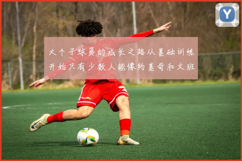 大个子球员的成长之路从基础训练开始只有少数人能像约基奇和文班那样成功